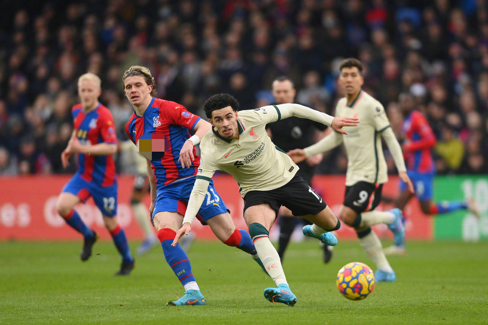 浙江队的团 浙江队的团